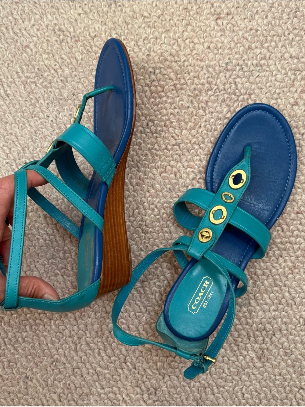 Genuine Coach Blue and Teal
Gladiator Sandals with Adjustable Straps - Picture 7 of 11